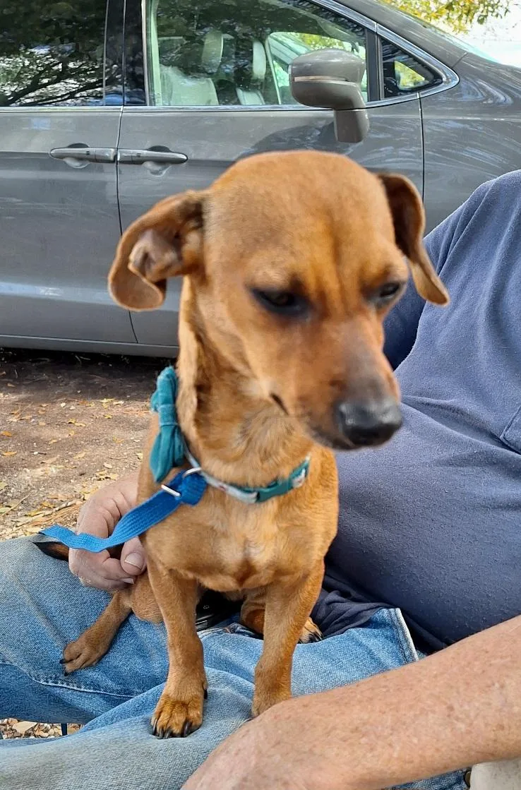 Elonna Mvt thumbnail 2