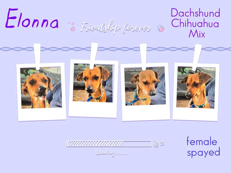 Elonna Wvthw thumbnail 4