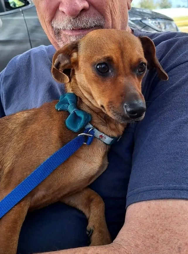 Elonna Wvthw thumbnail 5