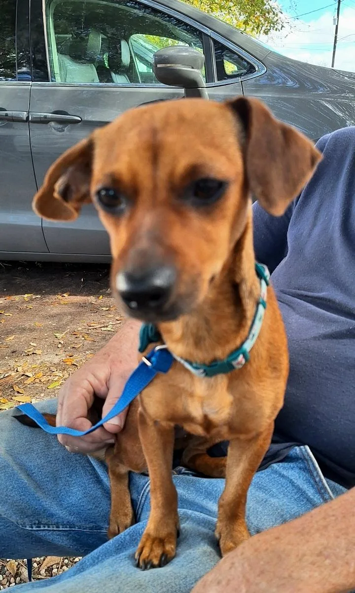 Elonna Wvthw thumbnail 6