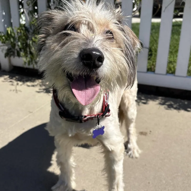 Guinness thumbnail 2