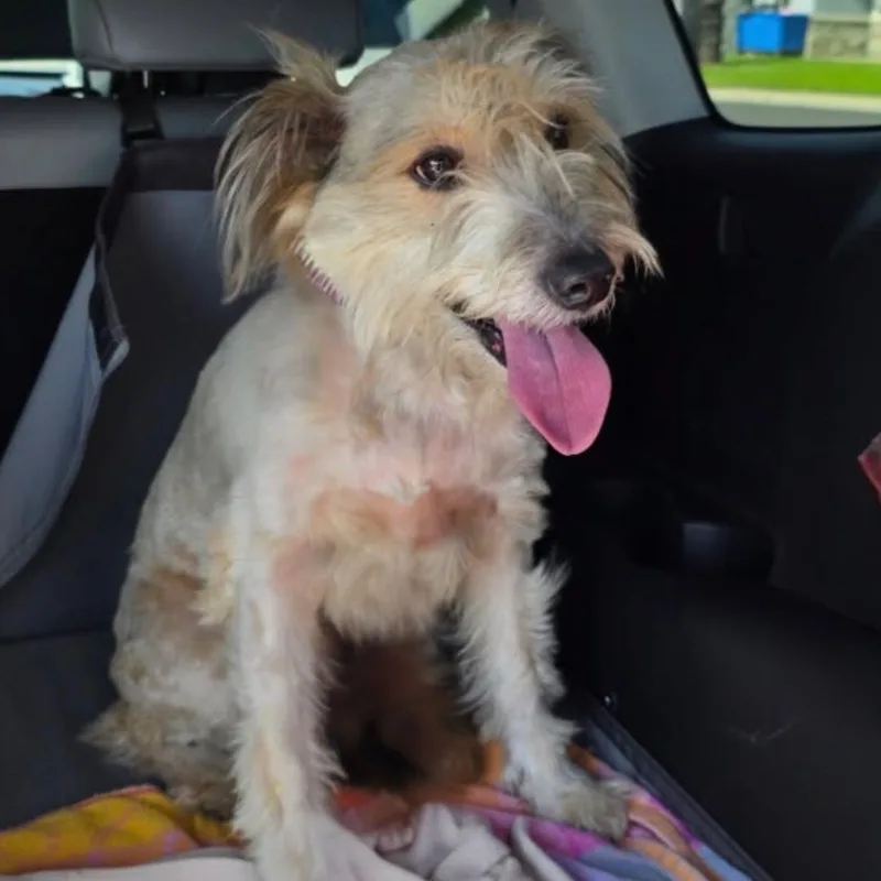 Guinness thumbnail 3