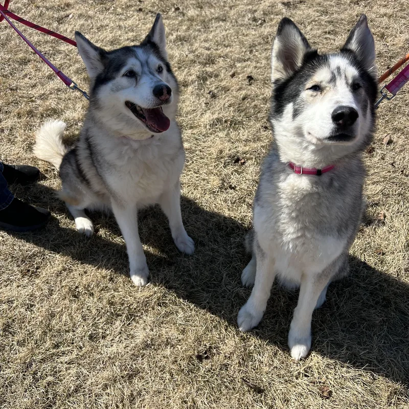 Lexi & Brody thumbnail 2