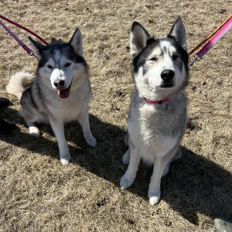 Lexi & Brody thumbnail 3