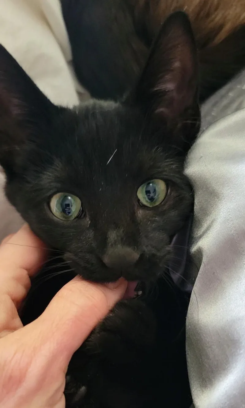 Lucy Lou thumbnail 2