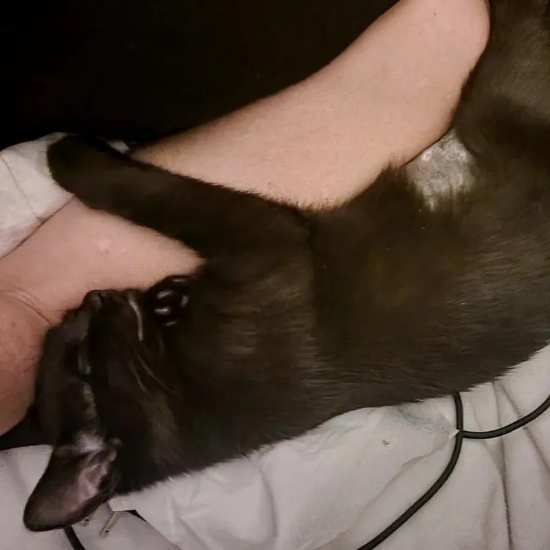 Lucy Lou thumbnail 3