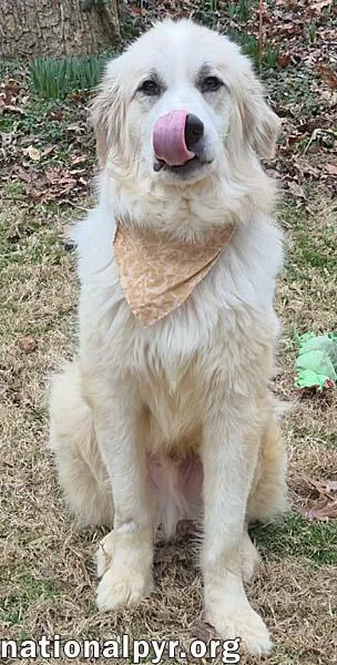 Mellow In Va  thumbnail 2