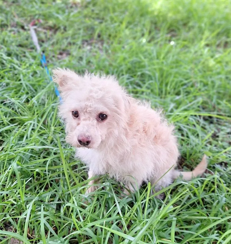 Poshan Orthw thumbnail 6