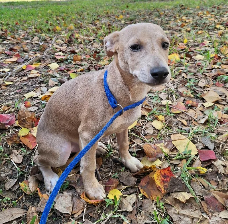 Remco Ort thumbnail 2