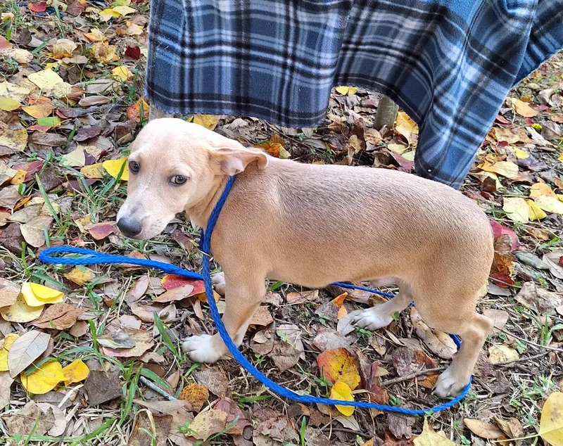 Remco Ort thumbnail 3