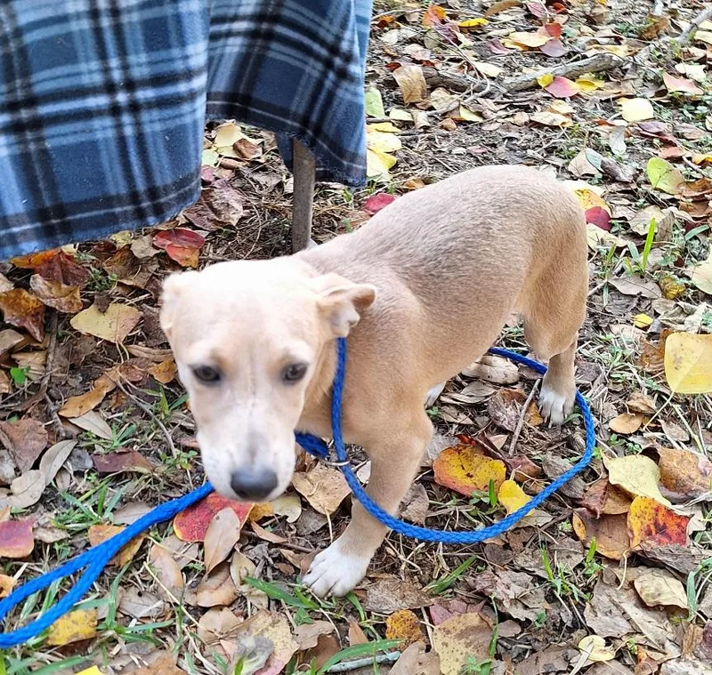 Remco Ort thumbnail 4