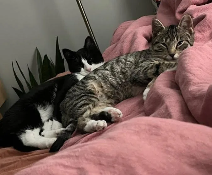 Snoopy & Woodstock thumbnail 2