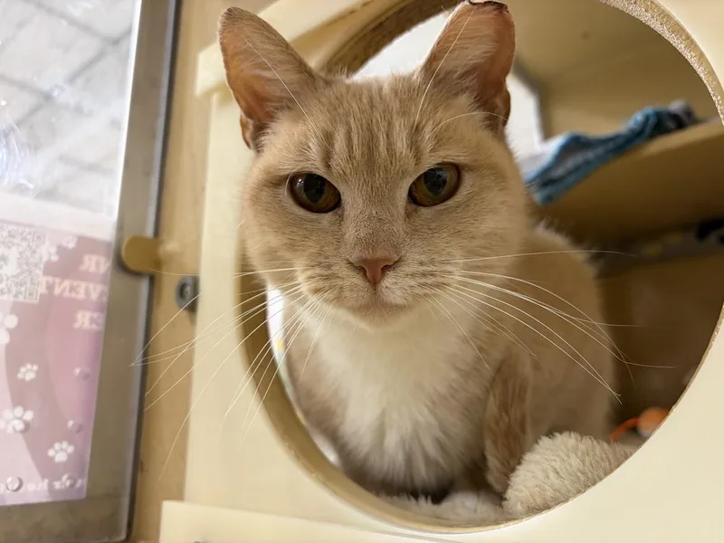 Xena Warrior Princess thumbnail 3