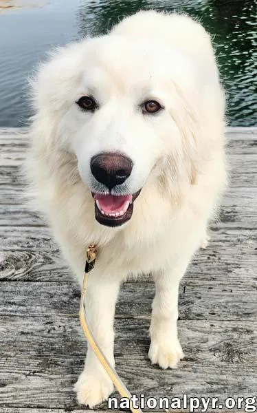 Kami In Ky  thumbnail 3