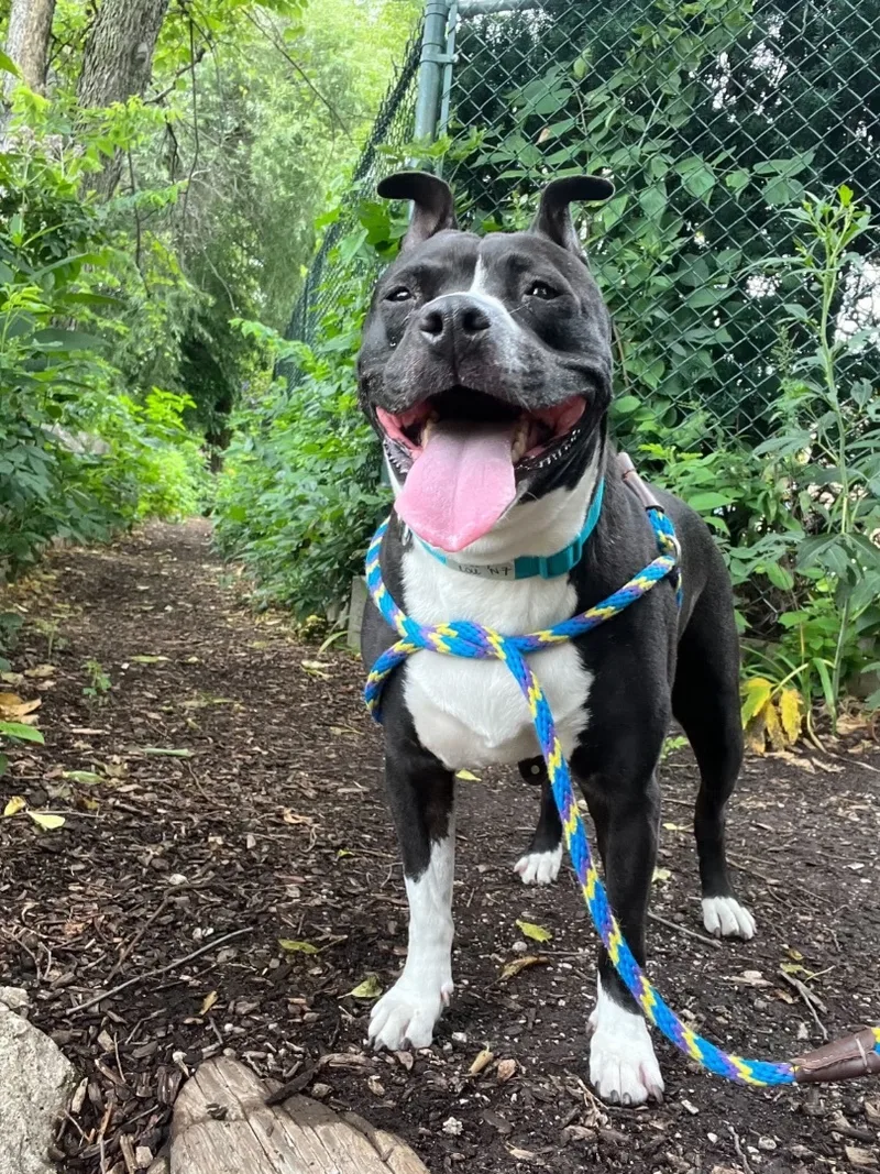 Cindy Lou thumbnail 2