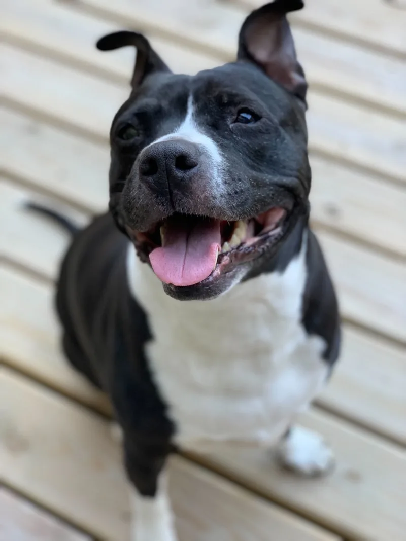 Cindy Lou thumbnail 3