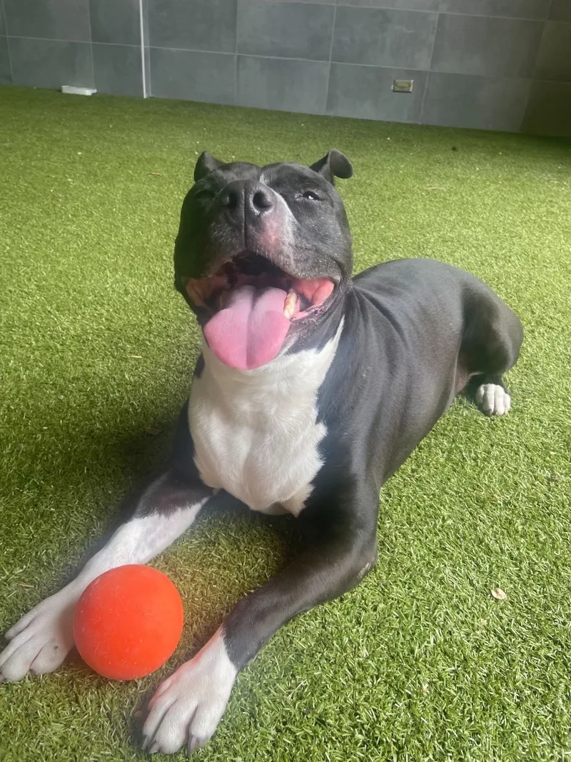 Cindy Lou thumbnail 5