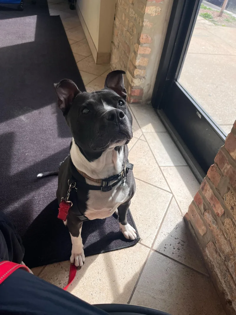 Cindy Lou thumbnail 6