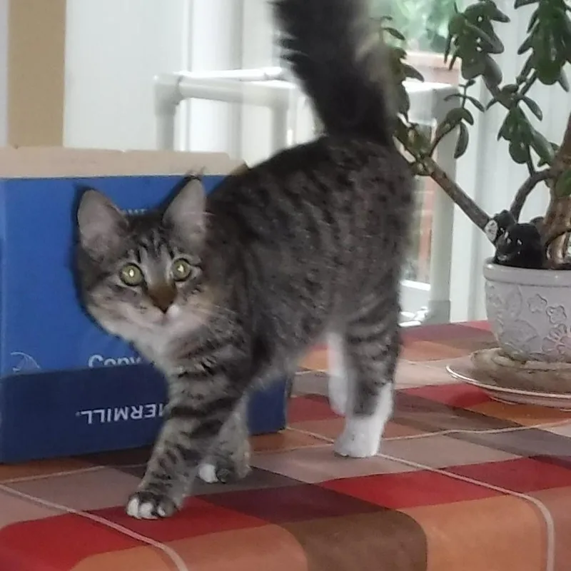 Marcia  Super Affectionate