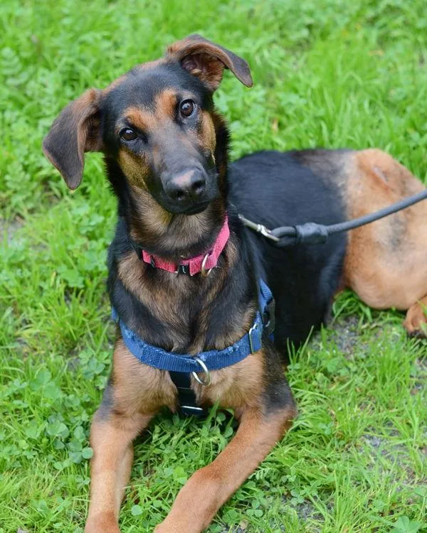 Charlotte thumbnail 2