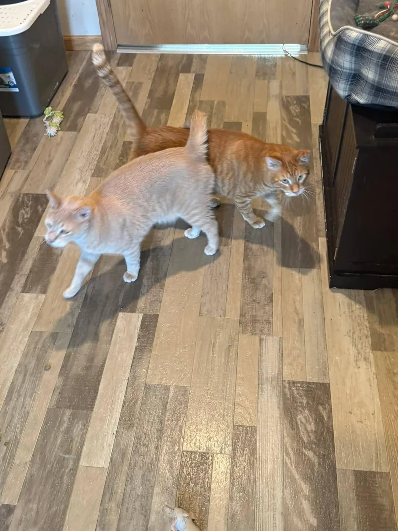 Jim And Alan thumbnail 2