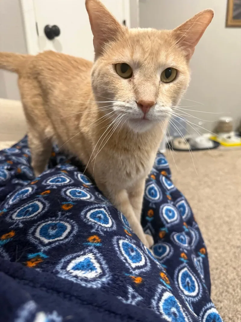 Jim And Alan thumbnail 3