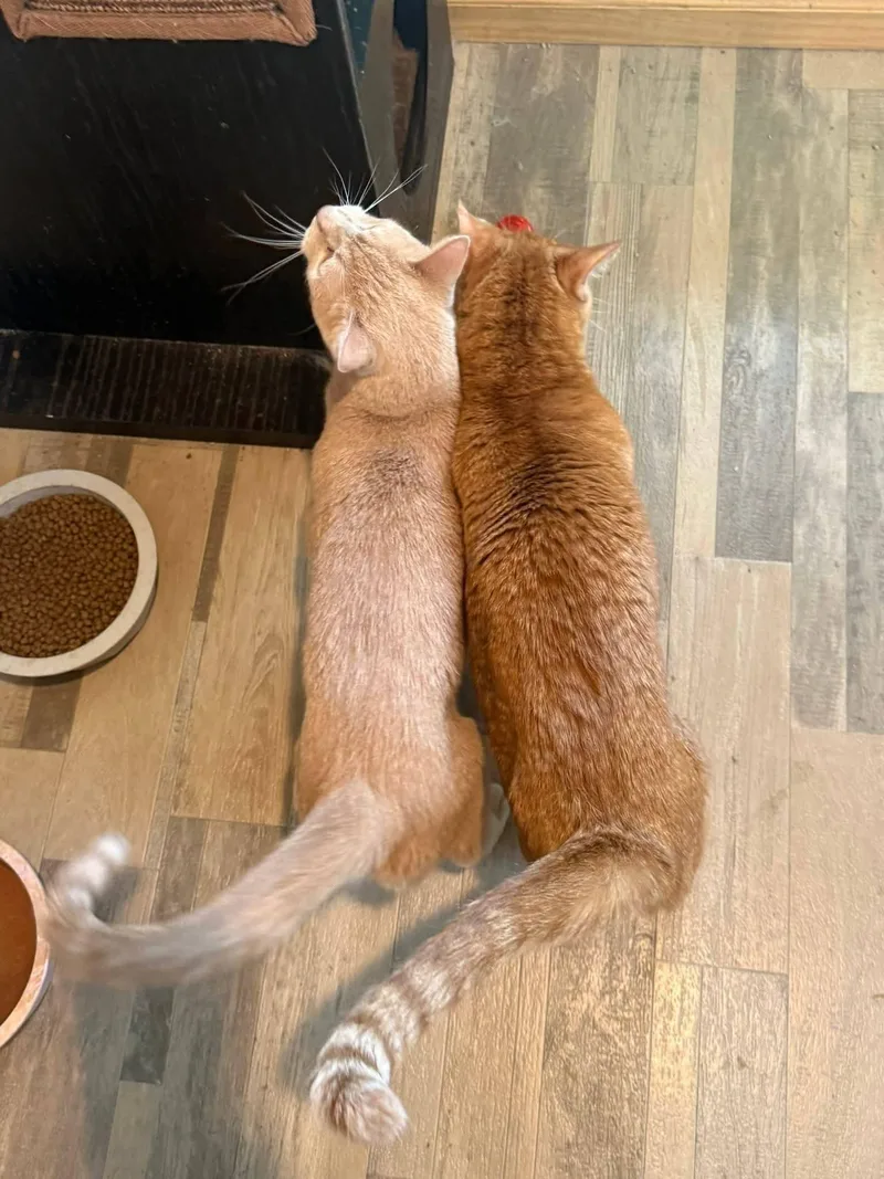 Jim And Alan thumbnail 4