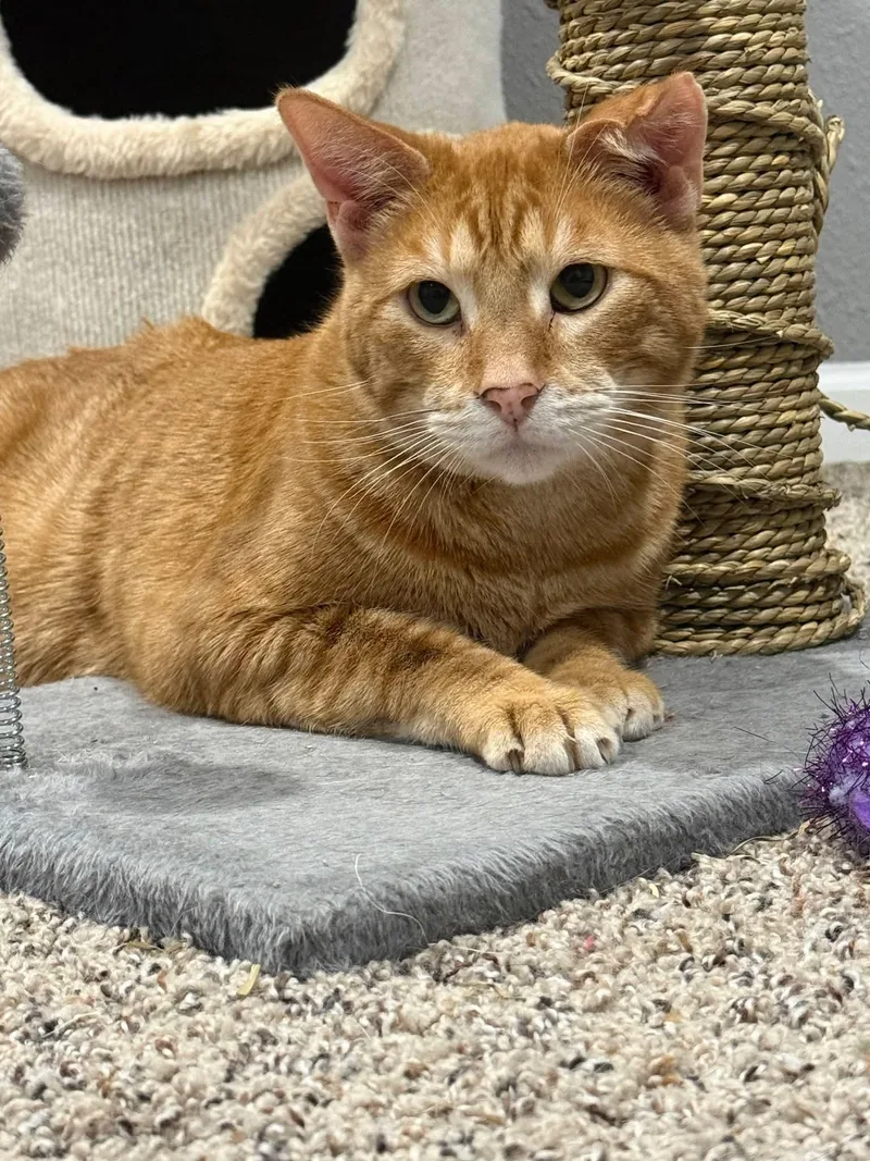 Jim And Alan thumbnail 5