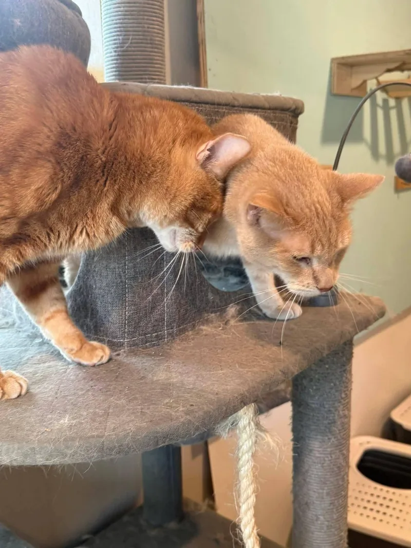 Jim And Alan thumbnail 6