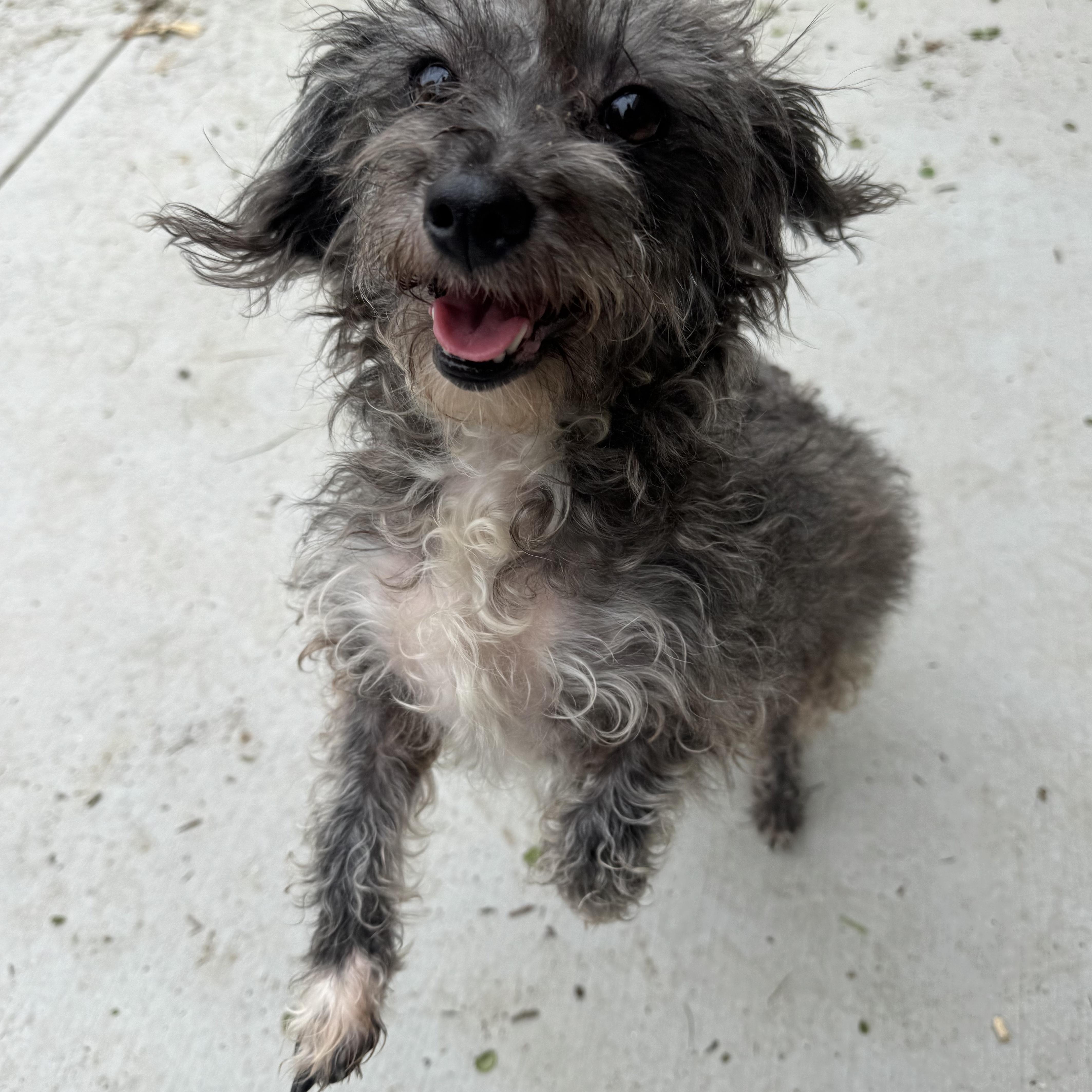 Ms. Beautiful Tilly thumbnail 3