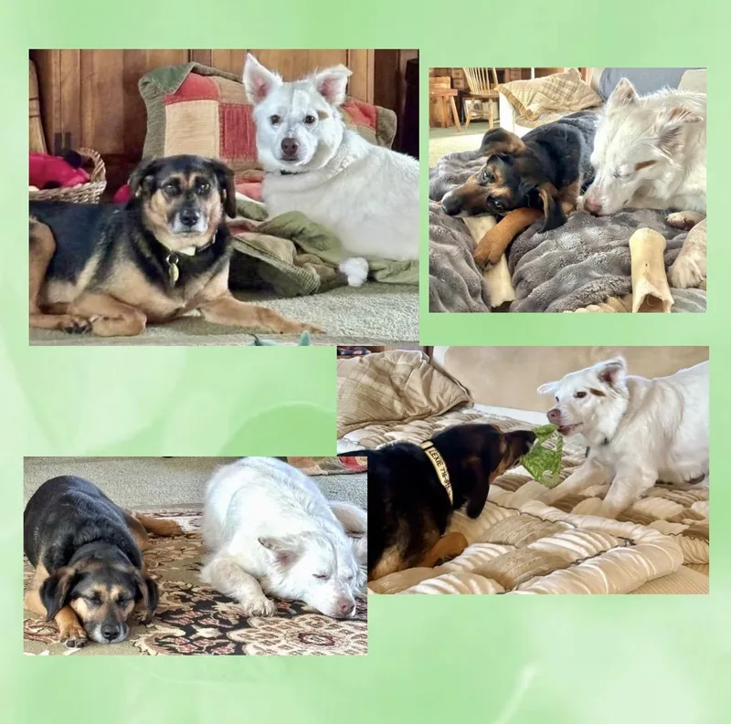 Cooper & Lexie Cross thumbnail 5