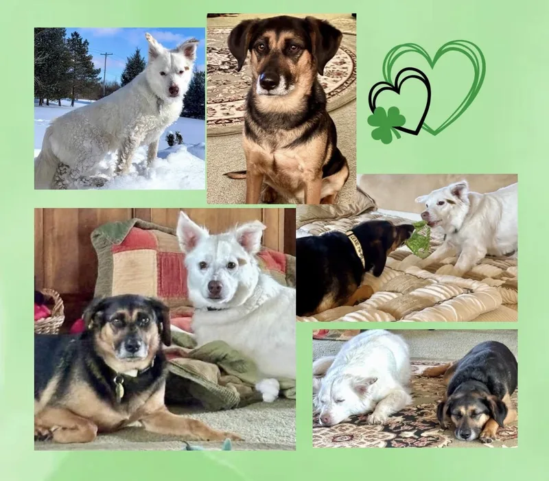 Cooper & Lexie Cross