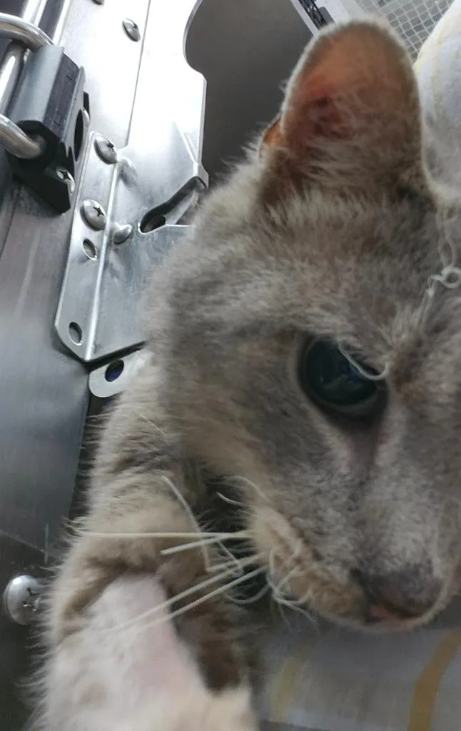 Scraggy Bay thumbnail 2