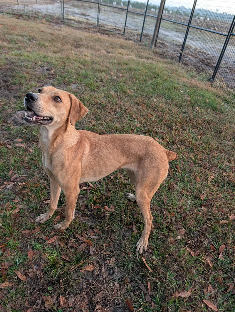 Josephine thumbnail 2