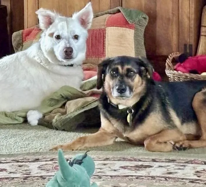 Lexie & Cooper Cross thumbnail 5