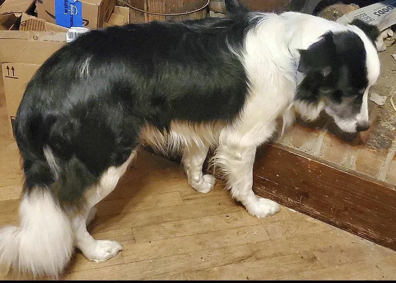 Roosevelt thumbnail 2