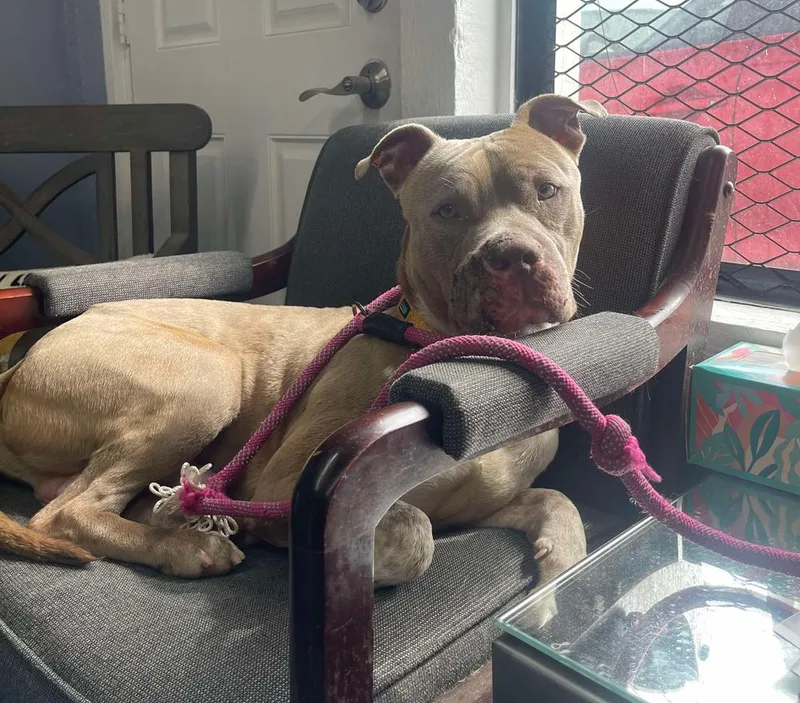 Truck Stop thumbnail 2