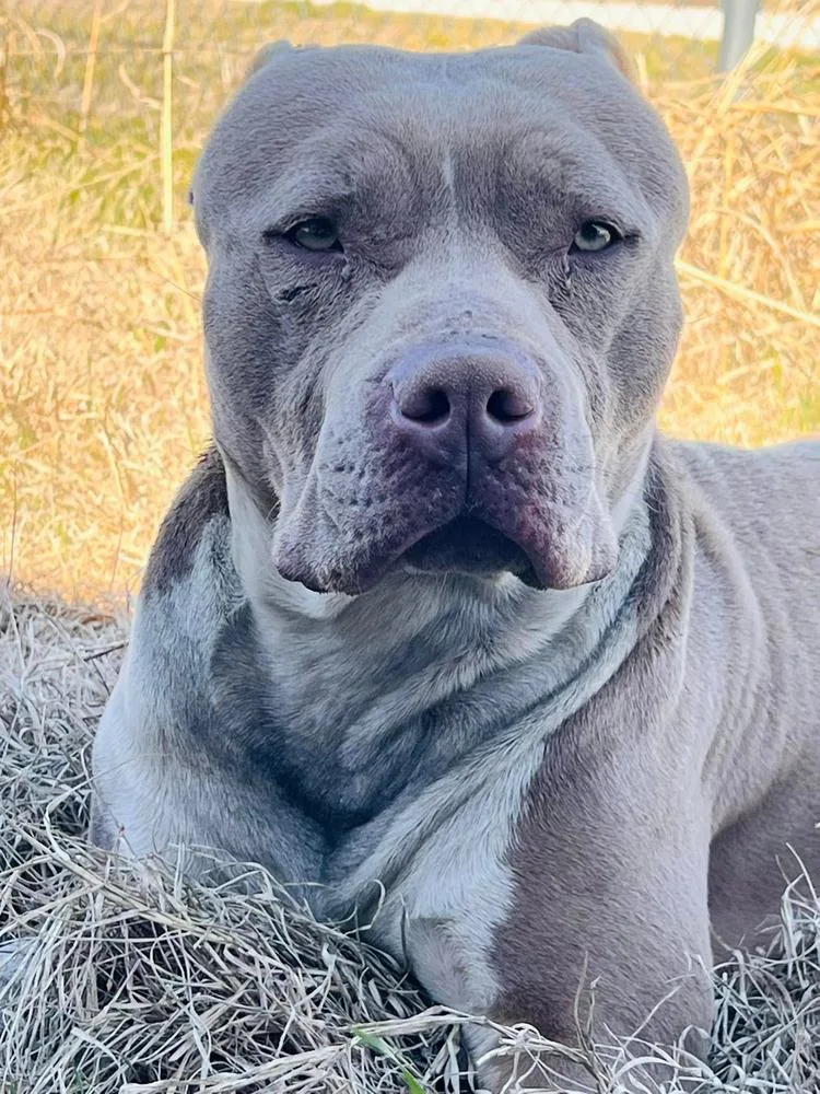 Truck Stop thumbnail 3