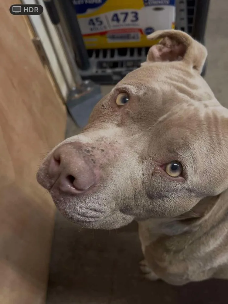 Truck Stop thumbnail 4