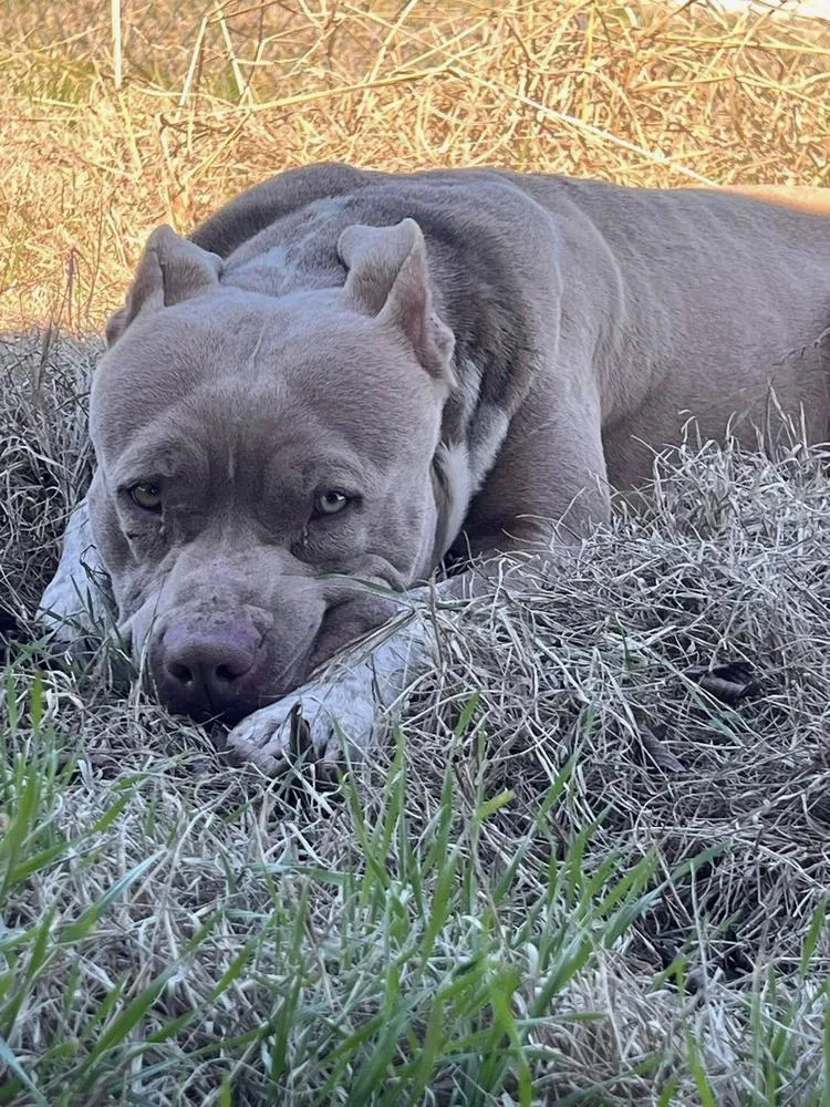 Truck Stop thumbnail 5