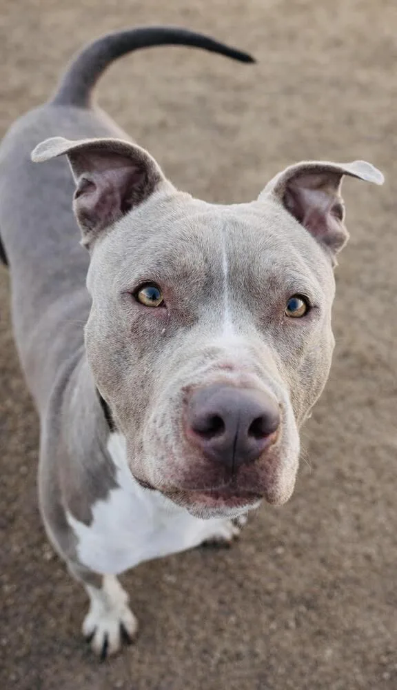 Truck Stop thumbnail 6