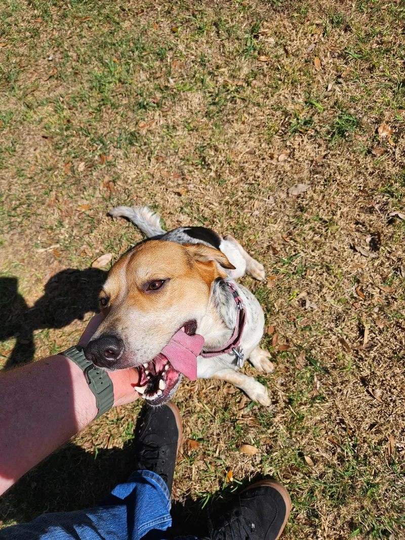 Remibelle thumbnail 3