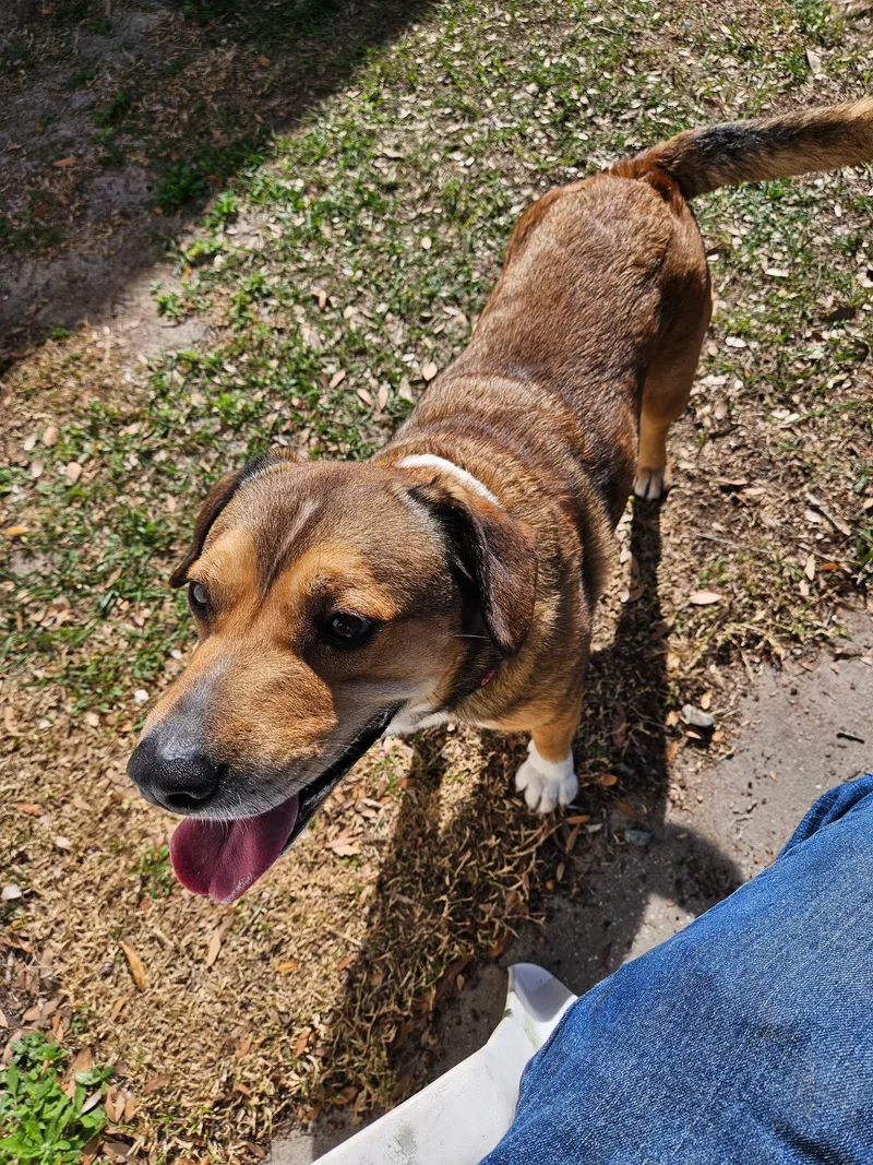 Remibelle thumbnail 4