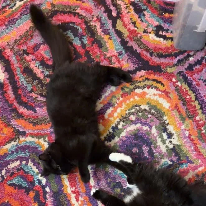 Hugo Boss thumbnail 4