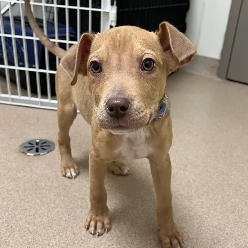 Bits  Friendly Little thumbnail 2