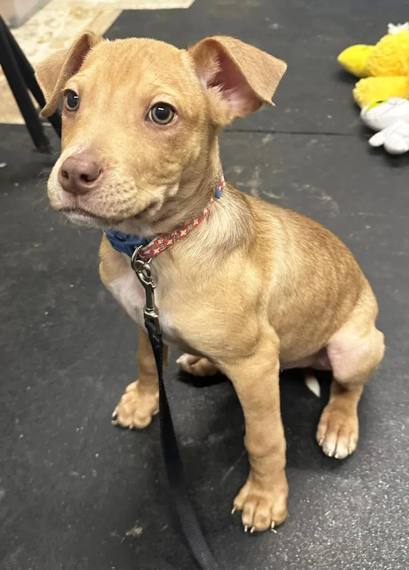 Bits  Friendly Little thumbnail 3