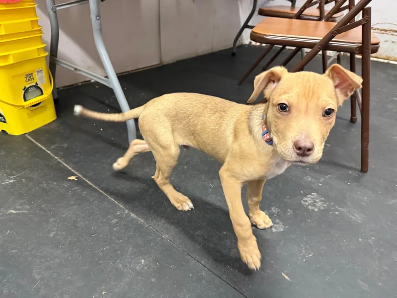 Bits  Friendly Little thumbnail 4