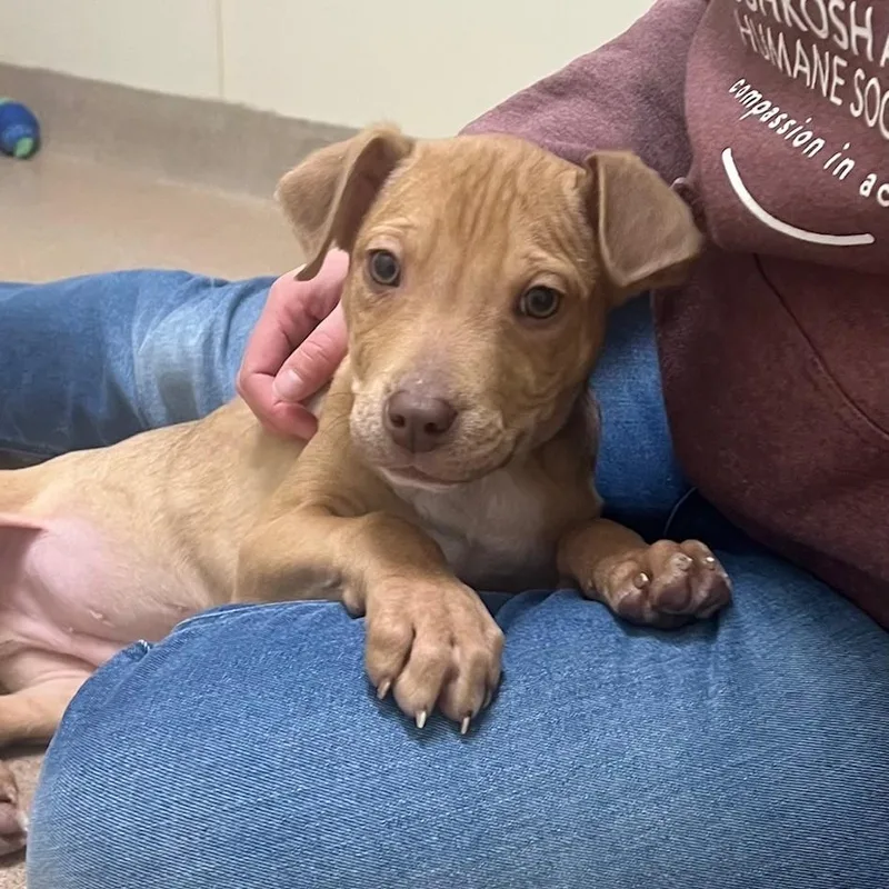 Bits  Friendly Little