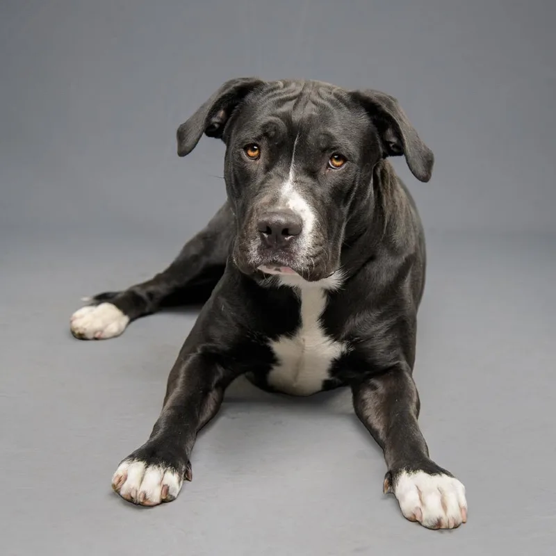 Pressure thumbnail 2