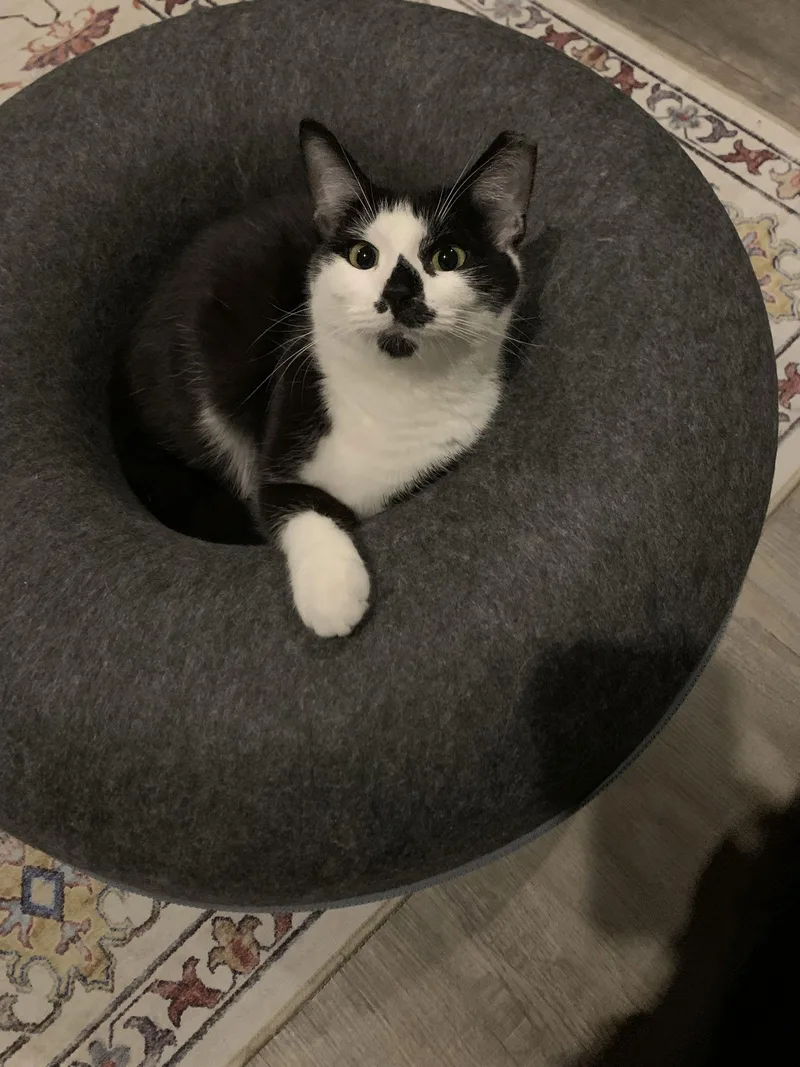 Courtesy List: Rosie thumbnail 2